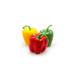 CASINO BIO Poivrons tricolores Bio - ESPAGNE Cat2 3 Pièces